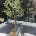 Apartment Ferienwohnung Ampass Ampass