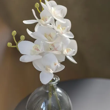 Ferienwohnung Ampass Daire *